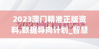 2023澳门精准正版资料,数据导向计划_智慧版VPW18.37