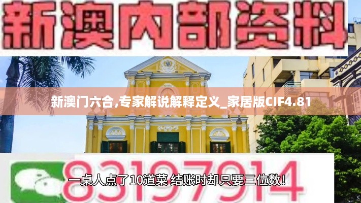 新澳门六合,专家解说解释定义_家居版CIF4.81