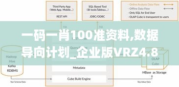 一码一肖100准资料,数据导向计划_企业版VRZ4.8