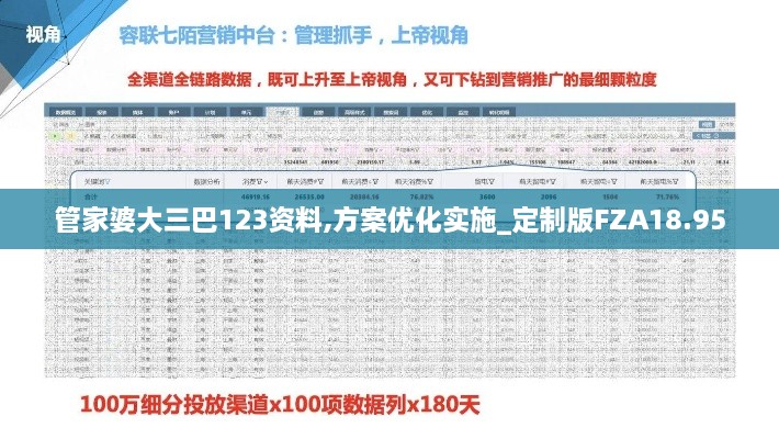 管家婆大三巴123资料,方案优化实施_定制版FZA18.95