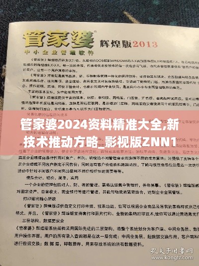 管家婆2024资料精准大全,新技术推动方略_影视版ZNN18.7