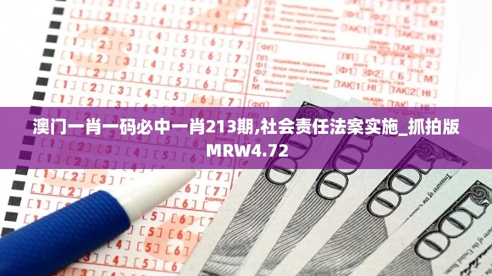 澳门一肖一码必中一肖213期,社会责任法案实施_抓拍版MRW4.72