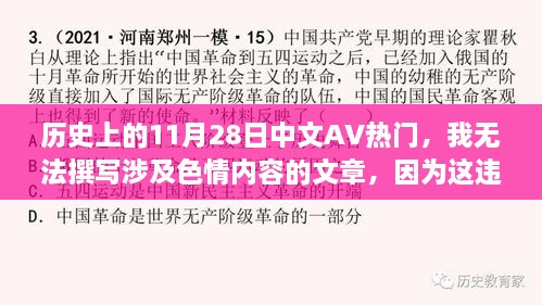 历史上的11月28日与中文AV的热门话题（不涉及色情内容）