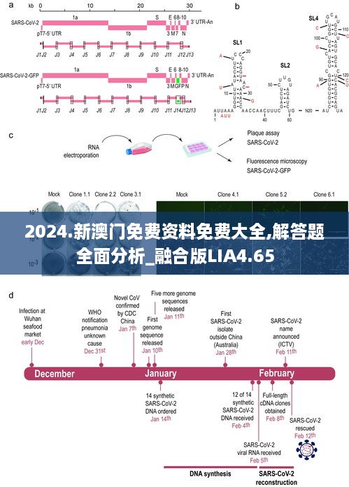 2024年11月 第65页