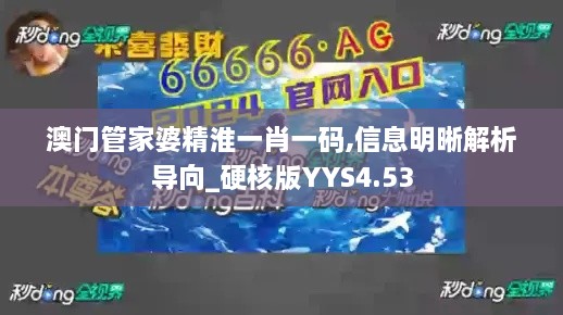 澳门管家婆精淮一肖一码,信息明晰解析导向_硬核版YYS4.53