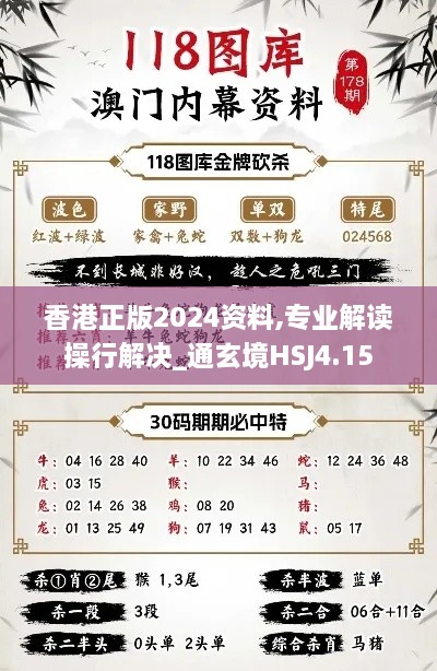 香港正版2024资料,专业解读操行解决_通玄境HSJ4.15