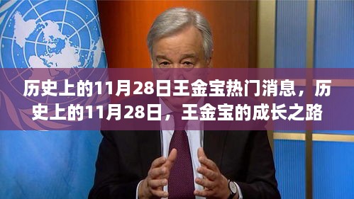 历史上的11月28日，王金宝的成长之路与自信成就之路的蜕变