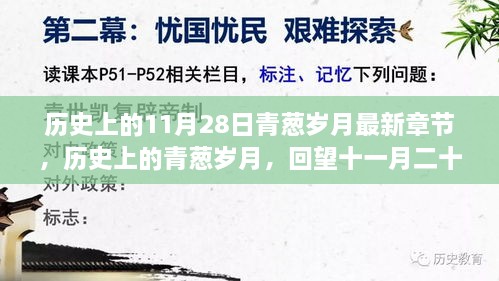 回望十一月二十八日的岁月印记与文学印记，历史上的青葱岁月最新章节