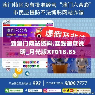 新澳门网站资料,实践调查说明_月光版XFG18.85