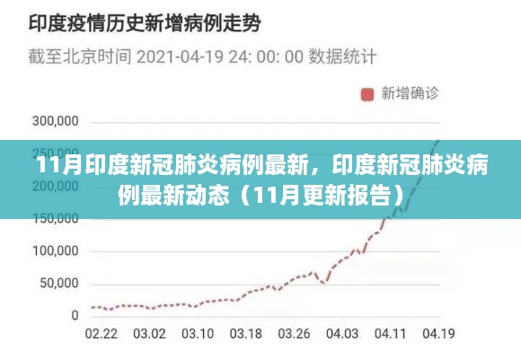 印度新冠肺炎最新动态报告，11月更新概况