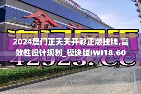 2024澳门正天天开彩正版挂牌,高效性设计规划_模块版IWI18.60