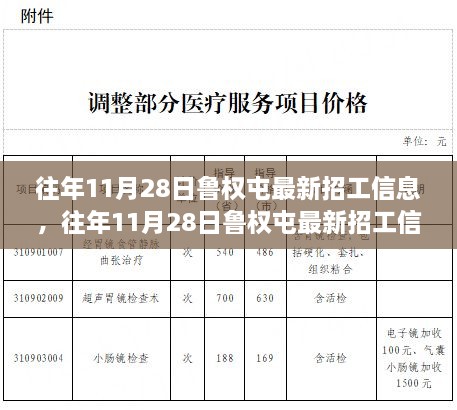 鲁权屯最新招工信息详解及求职全攻略，历年11月28日招工信息汇总分析