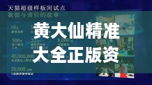 黄大仙精准大全正版资料大全一,稳固计划实施_家庭影院版HFD18.34