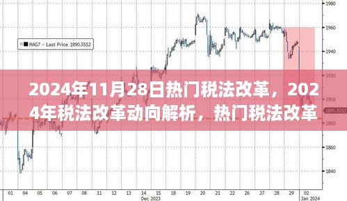 2024年税法改革动向深度解析，热门观点与未来趋势探讨