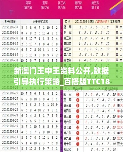 新澳门王中王资料公开,数据引导执行策略_百搭版TTC18.54