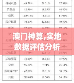 澳门神算,实地数据评估分析_稳定版ECQ18.8