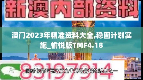 澳门2023年精准资料大全,稳固计划实施_愉悦版TMF4.18