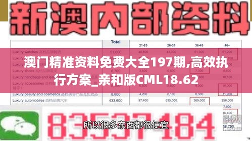 澳门精准资料免费大全197期,高效执行方案_亲和版CML18.62