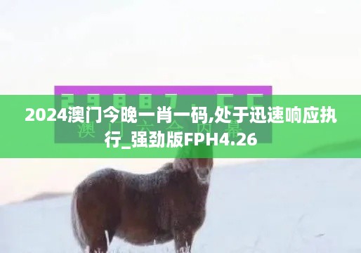 2024澳门今晚一肖一码,处于迅速响应执行_强劲版FPH4.26