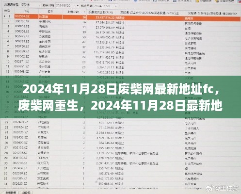 2024年废柴网重生，最新地址的时代印记