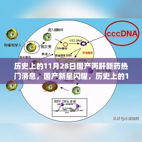 历史上的11月28日国产丙肝新药解析与评测，国产新星闪耀的全面消息