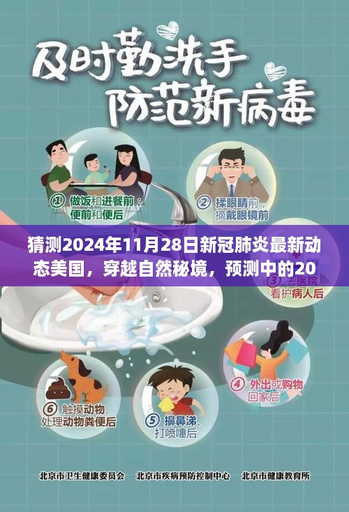 2024年预测，美国新冠肺炎新动态与穿越自然秘境的宁静之旅