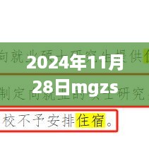 MGZS 2024年11月28日欢乐时光，友情、家庭与温馨的瞬间最新消息