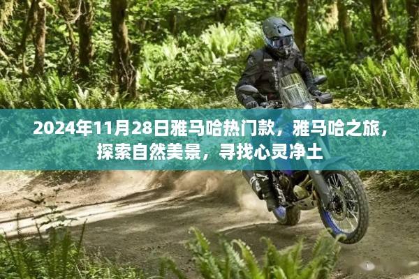 雅马哈之旅，探索热门款与自然美景的心灵之旅，2024年11月28日