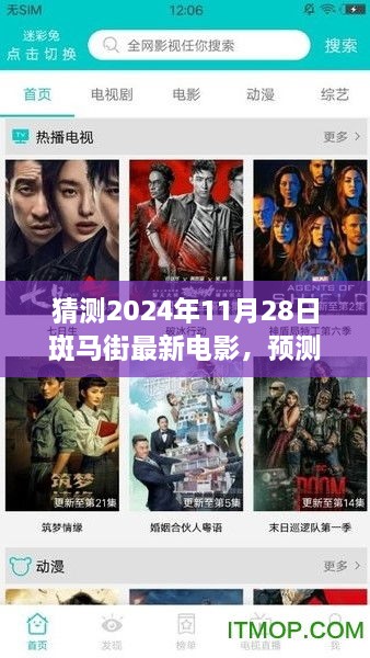 斑马街电影展望，从市场与观众心理角度预测与畅想2024年11月28日最新电影趋势