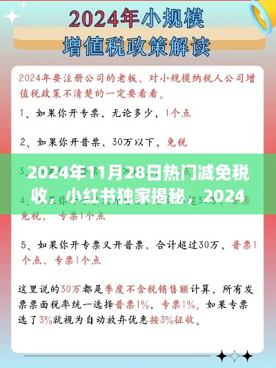 小红书独家揭秘，2024年热门减免税收全攻略，不容错过！