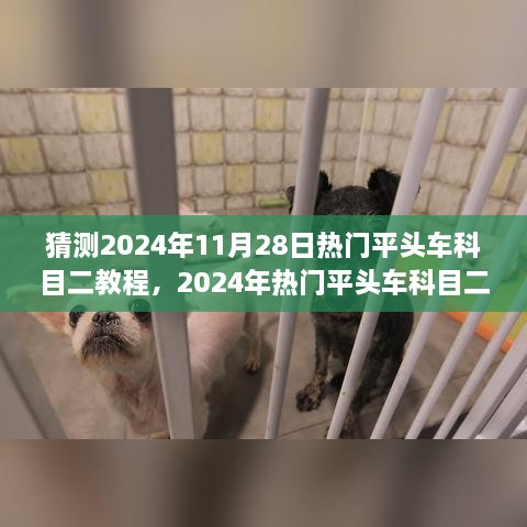 2024年平头车科目二驾驶技能学习全攻略，从入门到精通