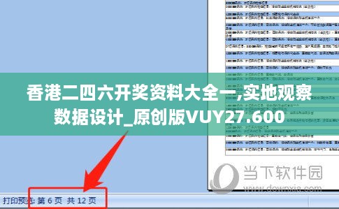 香港二四六开奖资料大全一,实地观察数据设计_原创版VUY27.600