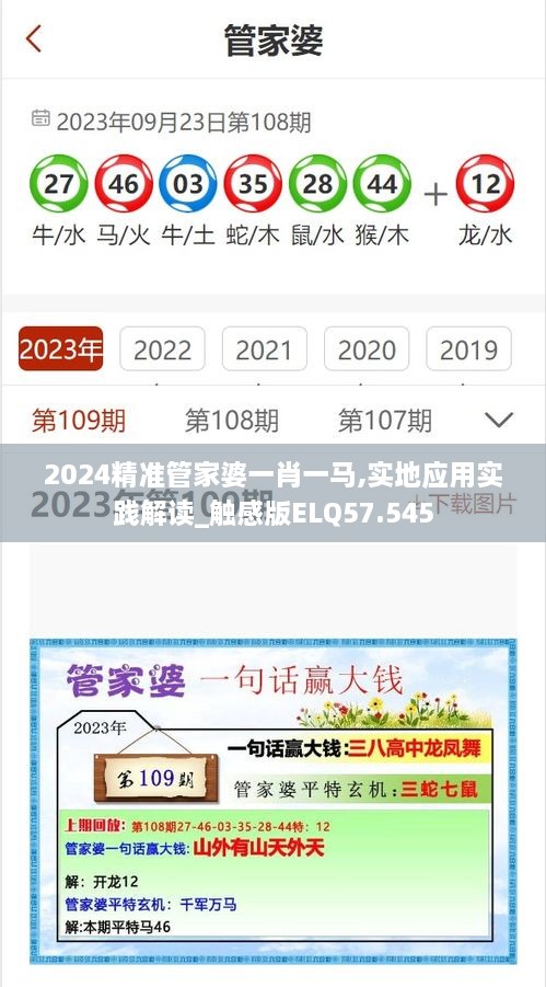 2024精准管家婆一肖一马,实地应用实践解读_触感版ELQ57.545