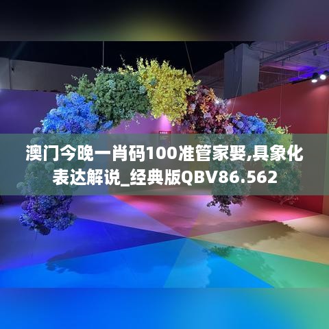 澳门今晚一肖码100准管家娶,具象化表达解说_经典版QBV86.562