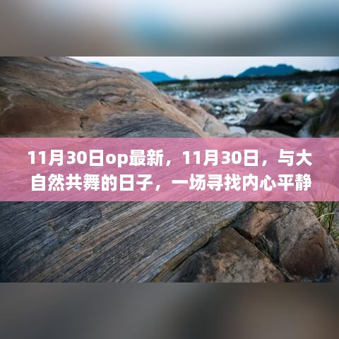 11月30日与大自然共舞，寻找内心平静的奇妙之旅