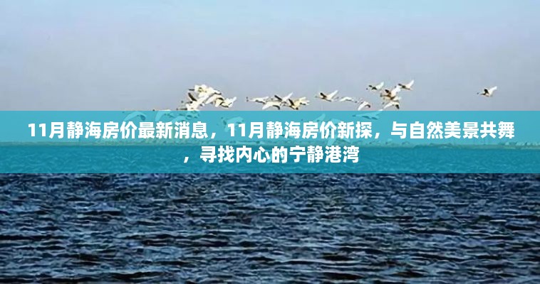 11月静海房价新探，与自然美景共舞，宁静港湾的居住价值解析