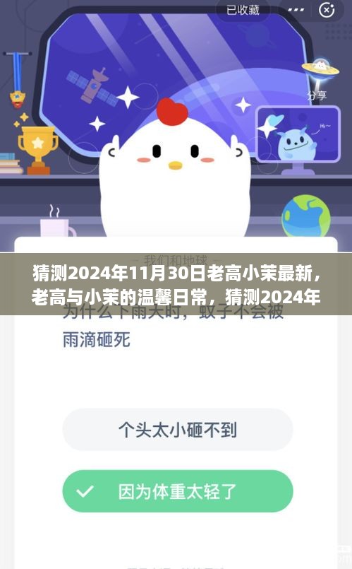 老高与小茉的温馨日常，揭秘2024年11月30日的奇妙时光