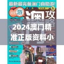 2024澳门精准正版资料小龙女,稳健设计策略_职业版TUB2.462