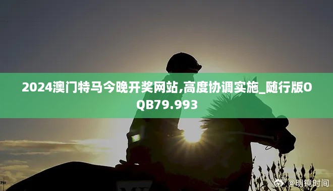 2024澳门特马今晚开奖网站,高度协调实施_随行版OQB79.993