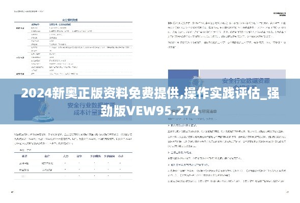 2024新奥正版资料免费提供,操作实践评估_强劲版VEW95.274