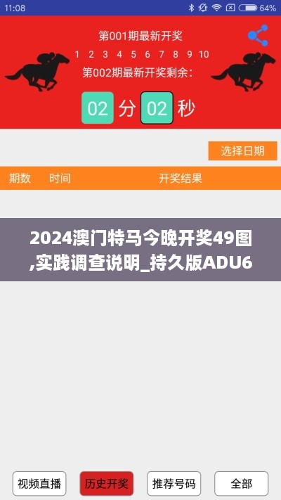 2024澳门特马今晚开奖49图,实践调查说明_持久版ADU63.384