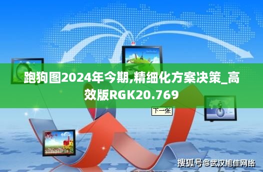 跑狗图2024年今期,精细化方案决策_高效版RGK20.769