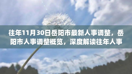 岳阳市人事调整概览，深度解读历年人事变动动态及影响分析