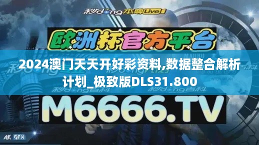 2024澳门天天开好彩资料,数据整合解析计划_极致版DLS31.800