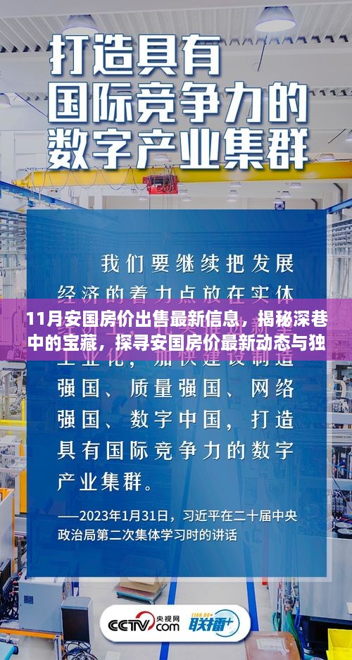 揭秘深巷宝藏，安国房价最新动态与独特小店故事，最新出售信息一览