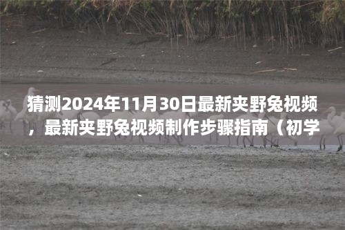 最新夹野兔视频制作指南，从初学者到进阶用户，手把手教你捕捉野兔技巧（预测2024年11月30日更新）