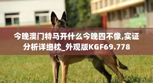 今晚澳门特马开什么今晚四不像,实证分析详细枕_外观版KGF69.778