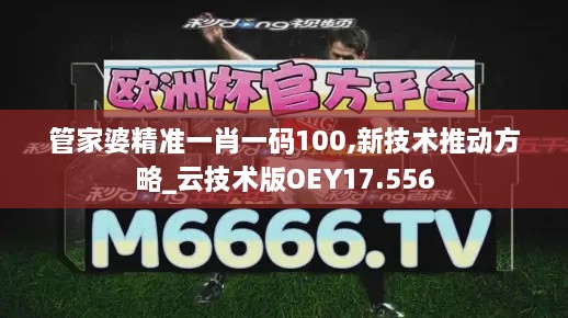 管家婆精准一肖一码100,新技术推动方略_云技术版OEY17.556