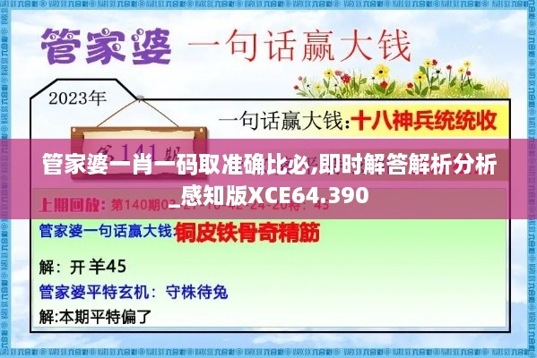 管家婆一肖一码取准确比必,即时解答解析分析_感知版XCE64.390