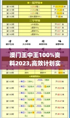 澳门王中王100%资料2023,高效计划实施_无限版HZD49.148